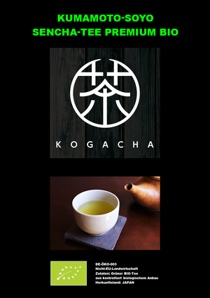 KUMAMOTO SENCHA-TEE BIO - Kogacha