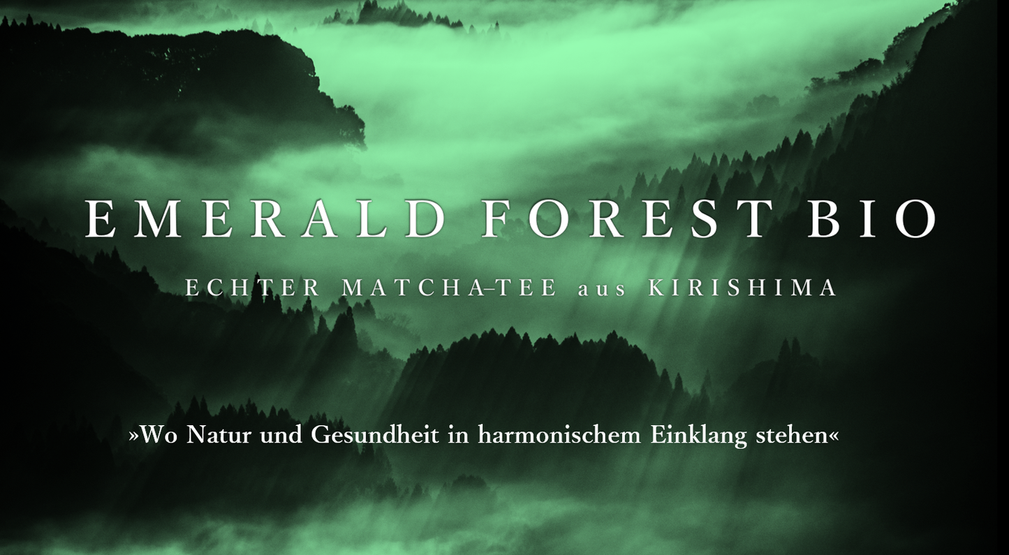 Kirishima BIO Matcha "Emerald Forest" Standard - Kogacha
